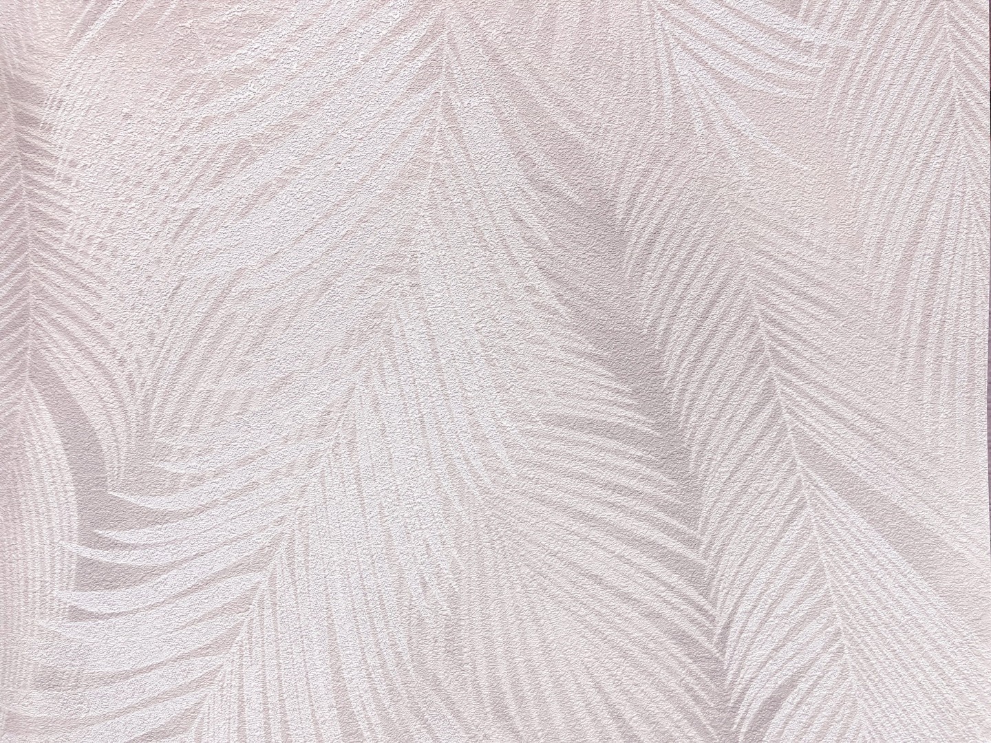 Обои Solo арт E200803 фото 1