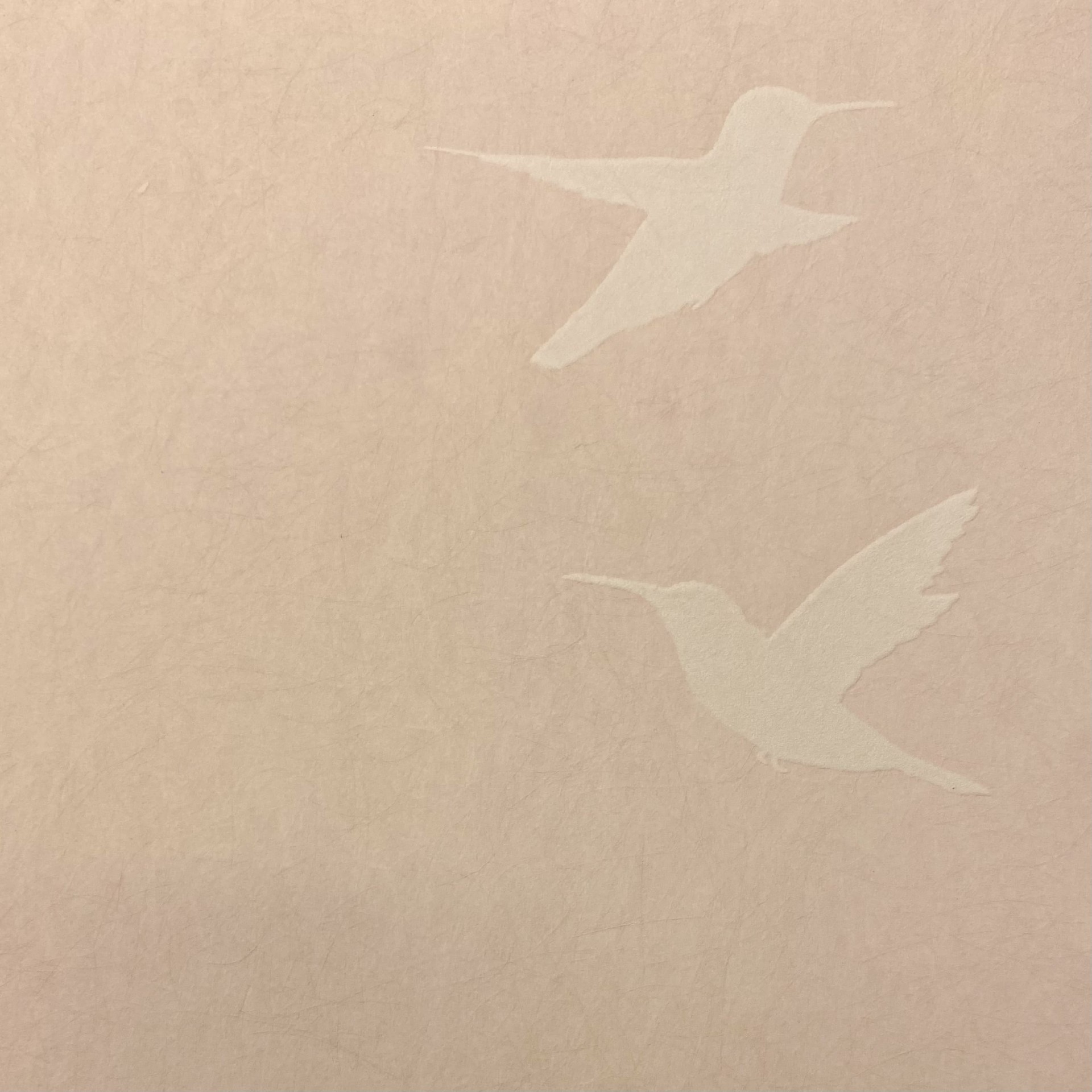 Обои Bernardo Bartalucci арт 5071-3 фото 1