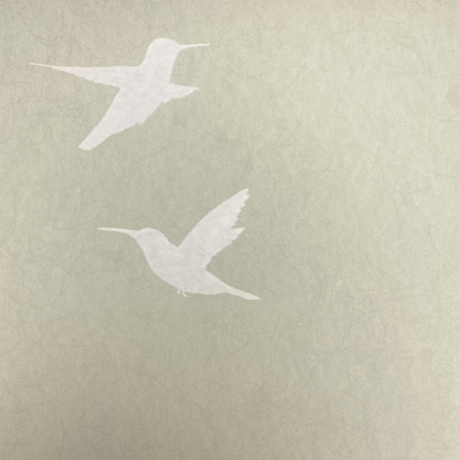 Обои Bernardo Bartalucci арт 5071-6 фото 1