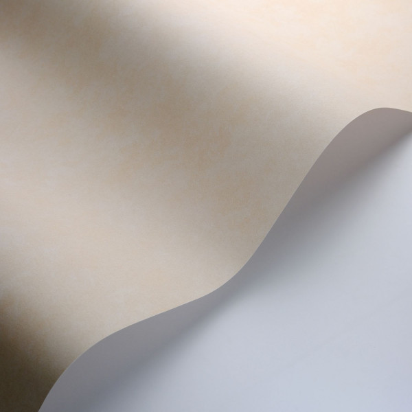 Обои Casadeco арт 89851141 фото 3