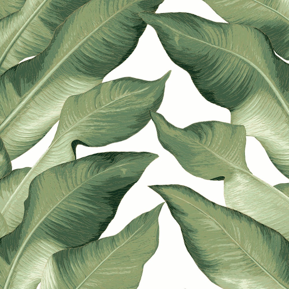 Обои York арт NV5541 фото 1